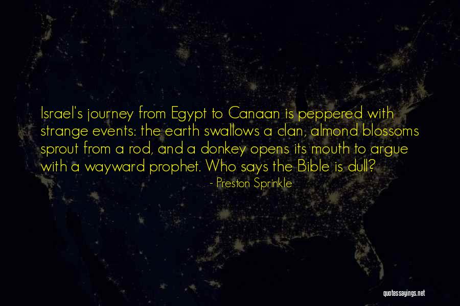 Strange Bible Quotes By Preston Sprinkle Strange Bible Quotes By Preston Sprinkle