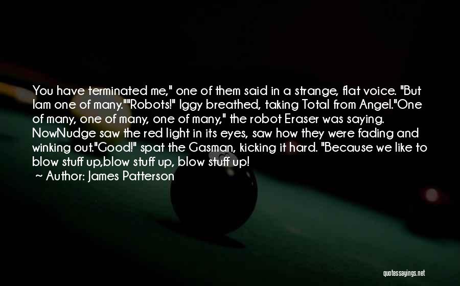 Strange But Good Quotes By James Patterson