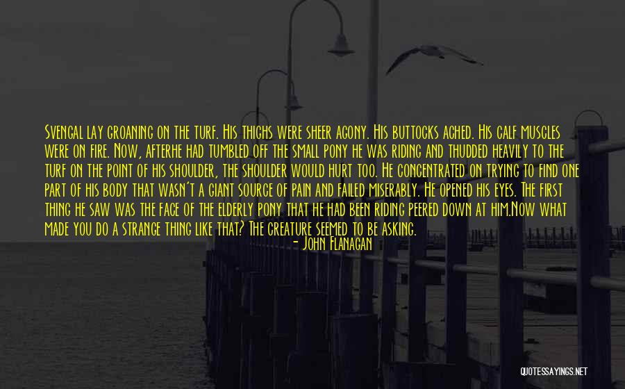 Strange Creature Quotes By John Flanagan Strange Creature Quotes By John Flanagan