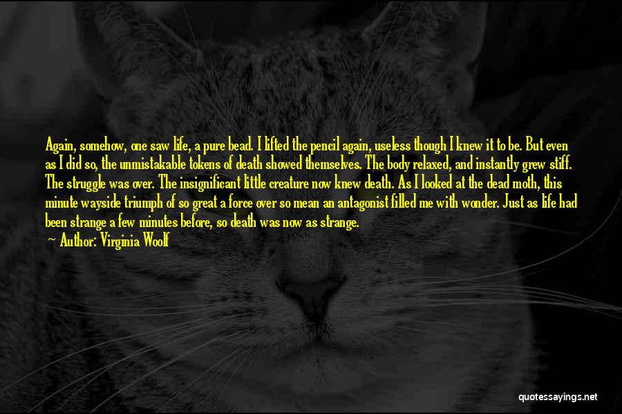 Strange Creature Quotes By Virginia Woolf