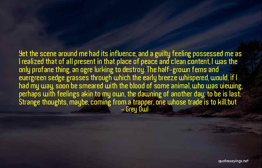 Strange Day Quotes By Grey Owl Strange Day Quotes By Grey Owl