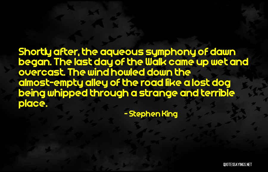 Strange Day Quotes By Stephen King Strange Day Quotes By Stephen King