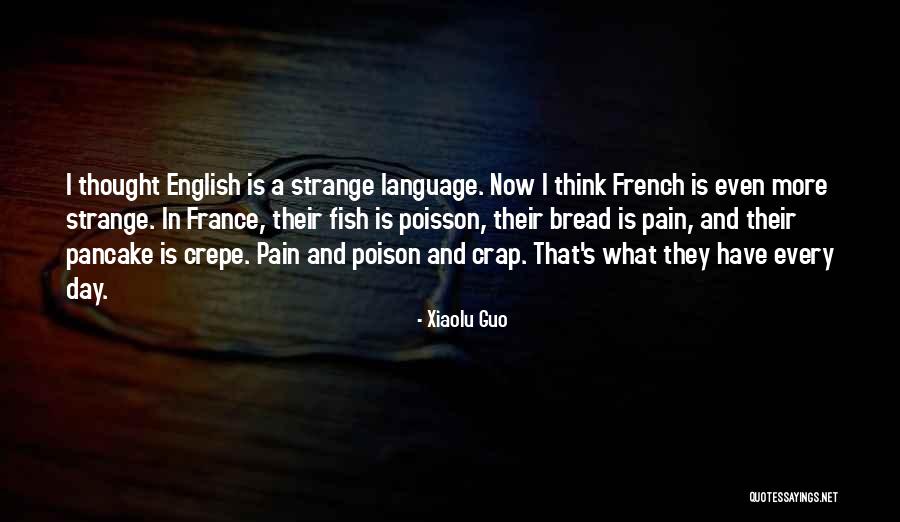 Strange Day Quotes By Xiaolu Guo Strange Day Quotes By Xiaolu Guo