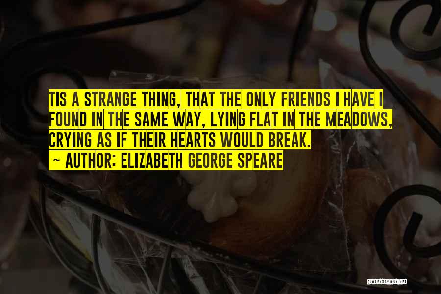 Strange Friends Quotes By Elizabeth George Speare