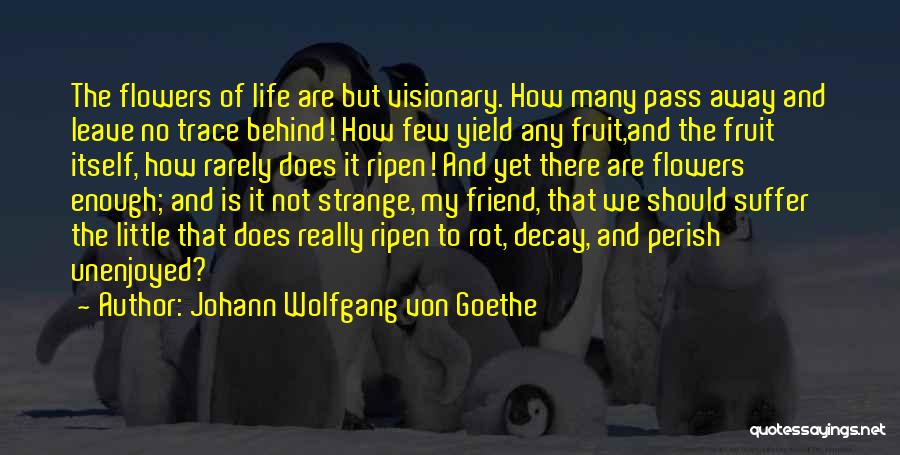 Strange Fruit Quotes By Johann Wolfgang Von Goethe