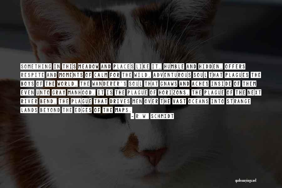 Strange Horizons Quotes By R.W. Schmidt Strange Horizons Quotes By R.W. Schmidt