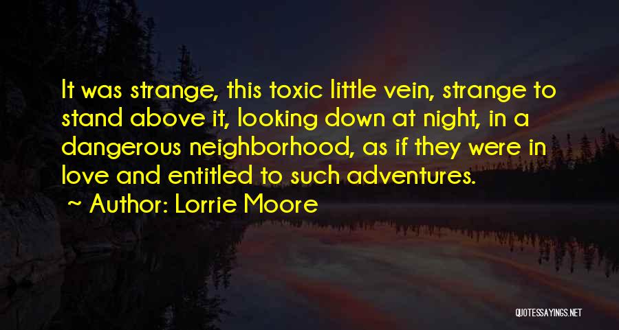 Strange Love Story Quotes By Lorrie Moore