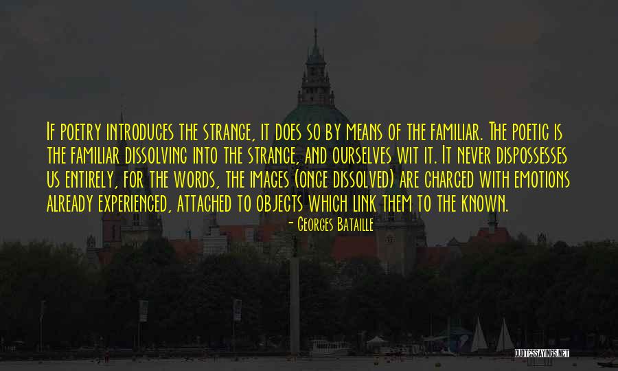 Strange Objects Quotes By Georges Bataille