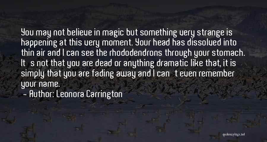 Strange Things Are Happening Quotes By Leonora Carrington