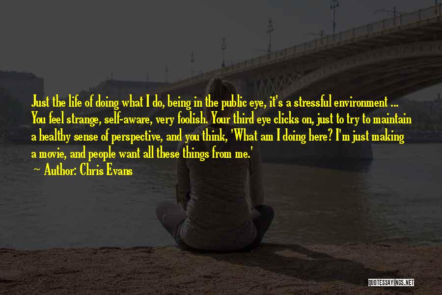 Strange Things In Life Quotes By Chris Evans