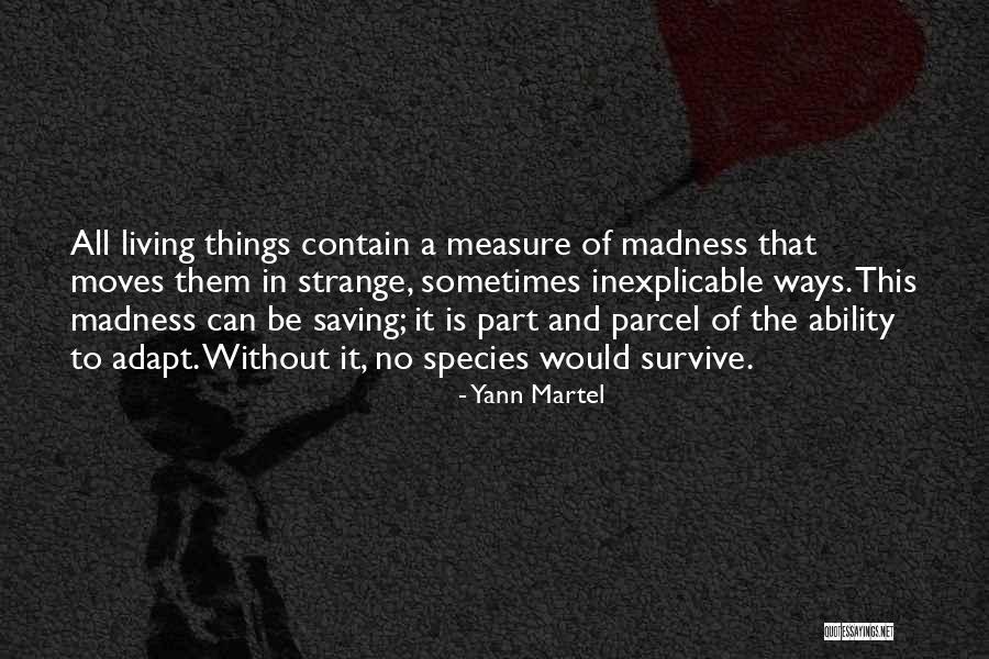 Strange Ways Quotes By Yann Martel