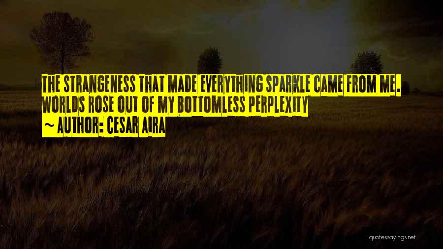 Strangeness Quotes By Cesar Aira