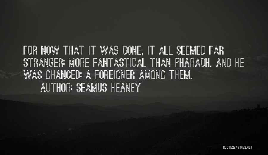 Stranger Among Us Quotes By Seamus Heaney