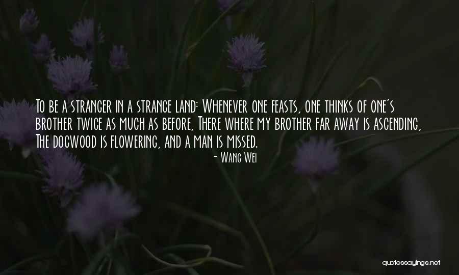 Stranger In A Strange Land Quotes By Wang Wei Stranger In A Strange Land Quotes By Wang Wei