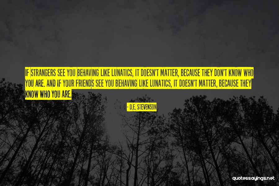 Strangers And Friends Quotes By D.E. Stevenson Strangers And Friends Quotes By D.E. Stevenson