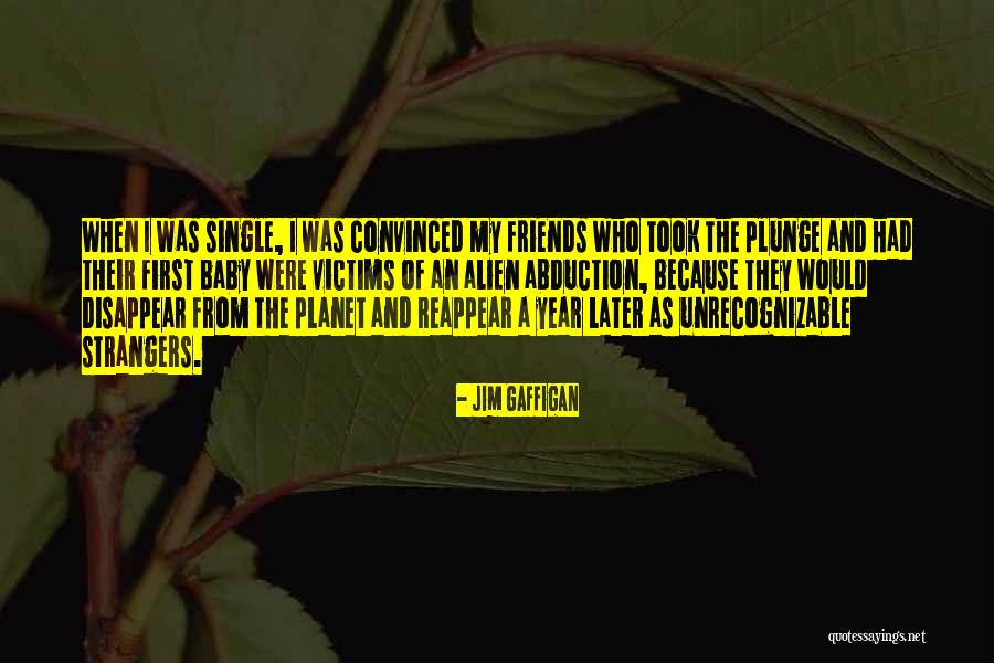 Strangers And Friends Quotes By Jim Gaffigan Strangers And Friends Quotes By Jim Gaffigan