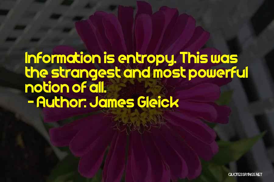 Strangest Quotes By James Gleick