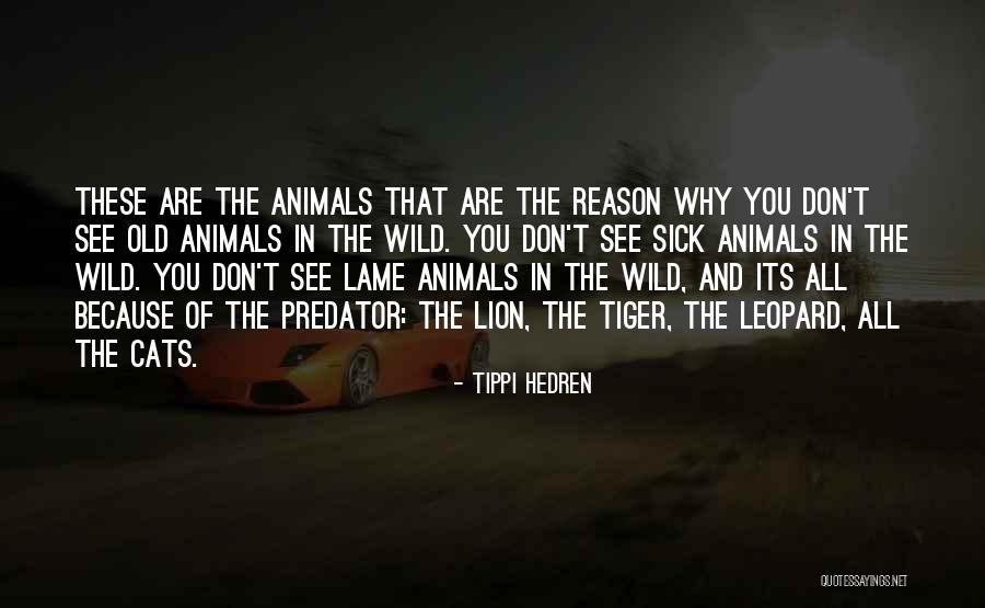 Strangulated Intestine Quotes By Tippi Hedren Strangulated Intestine Quotes By Tippi Hedren