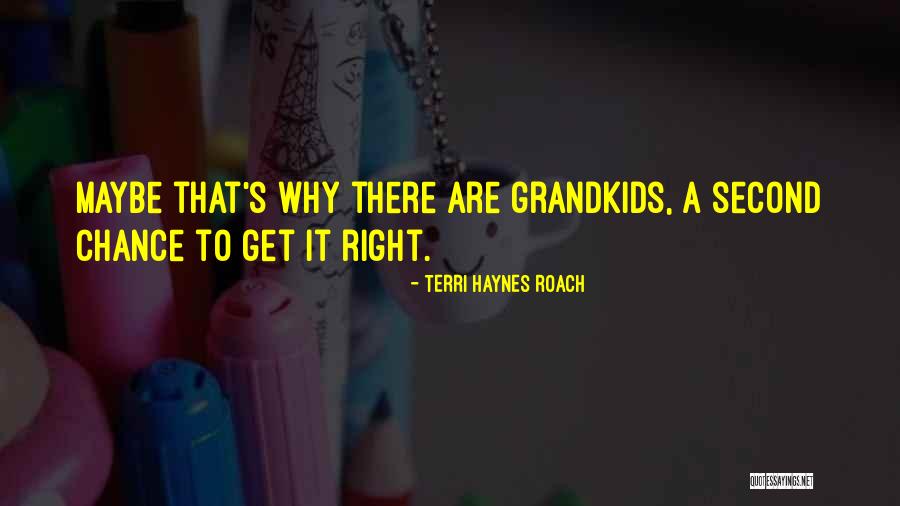 Stranice Trougla Quotes By Terri Haynes Roach Stranice Trougla Quotes By Terri Haynes Roach