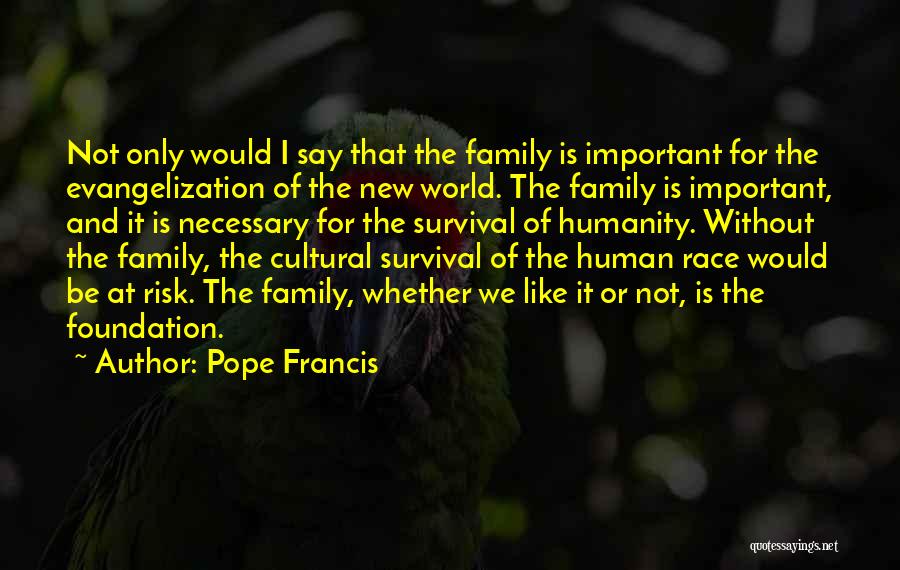 Stranski Hitovi Quotes By Pope Francis