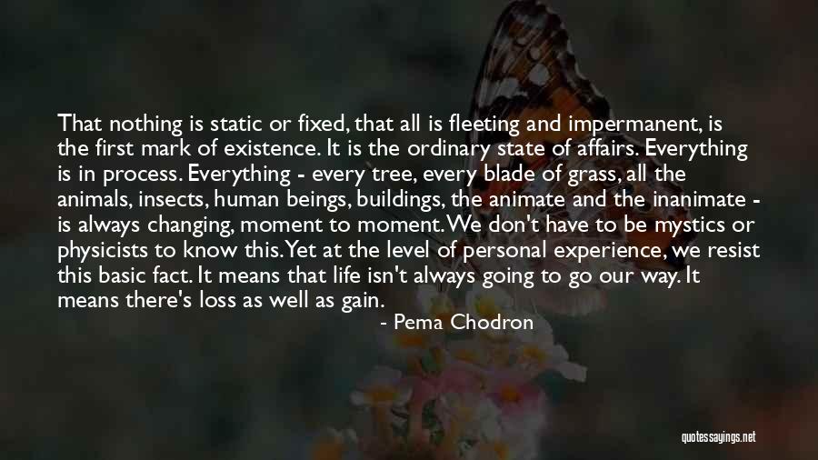 Stranzinger Gmbh Quotes By Pema Chodron Stranzinger Gmbh Quotes By Pema Chodron