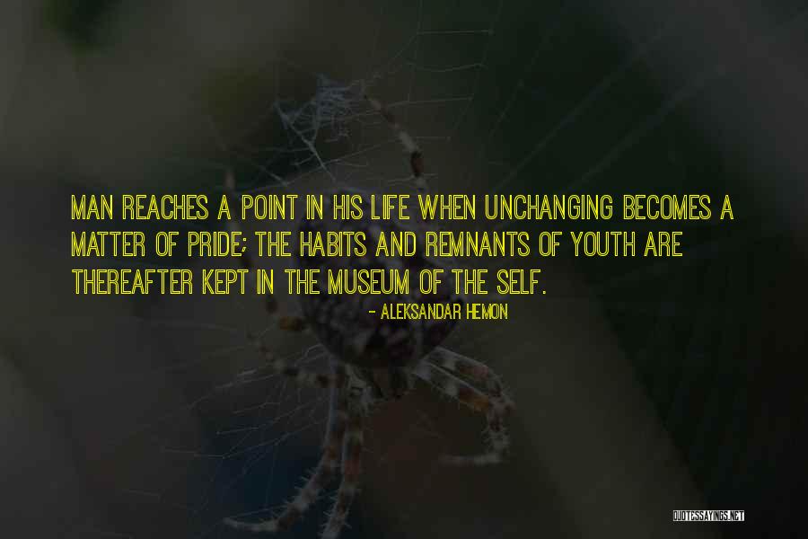 Straordinaria Quotes By Aleksandar Hemon Straordinaria Quotes By Aleksandar Hemon
