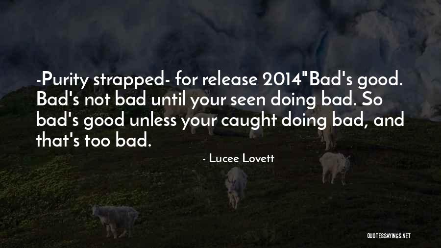 Strap On Quotes By Lucee Lovett Strap On Quotes By Lucee Lovett