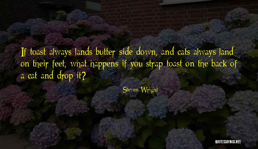 Strap On Quotes By Steven Wright Strap On Quotes By Steven Wright