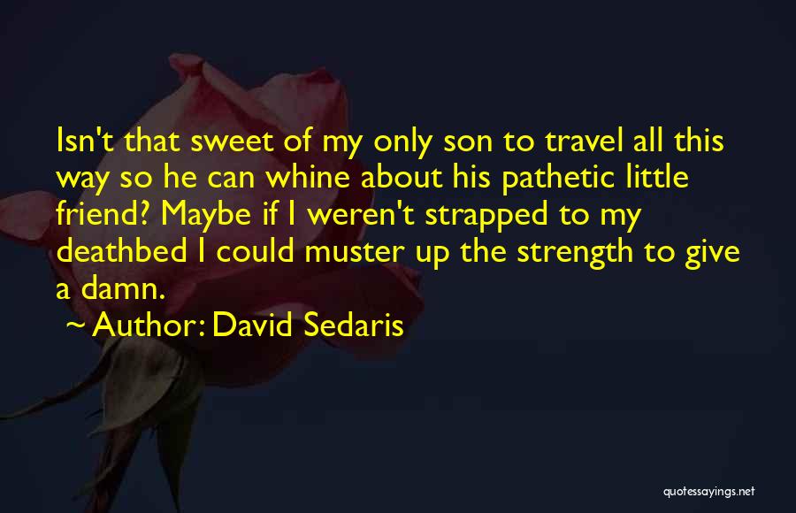 Strapped Up Quotes By David Sedaris