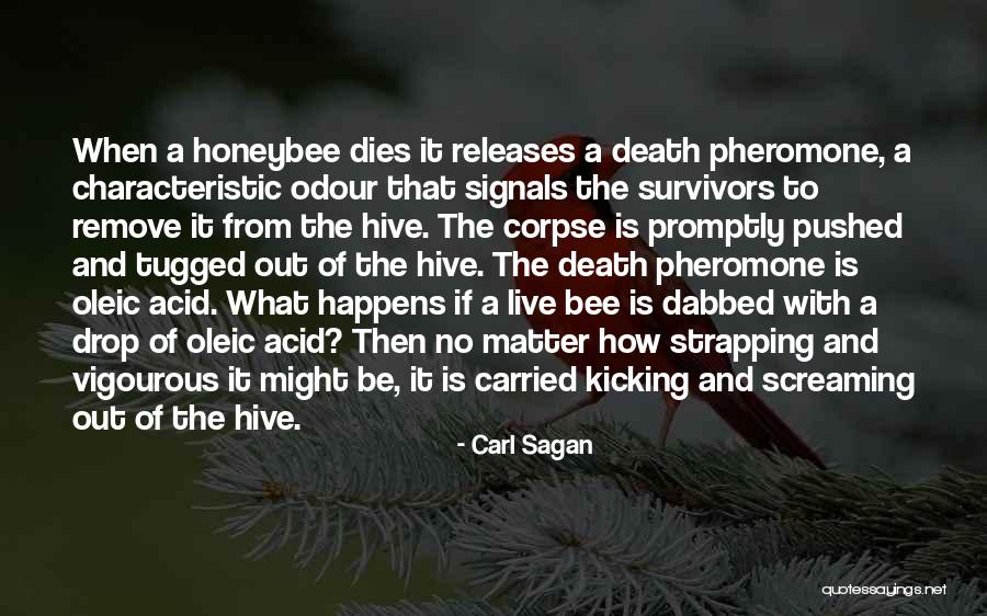 Strapping Quotes By Carl Sagan Strapping Quotes By Carl Sagan