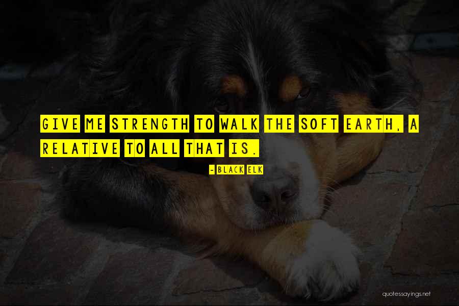 Strassburger Ship Quotes By Black Elk Strassburger Ship Quotes By Black Elk