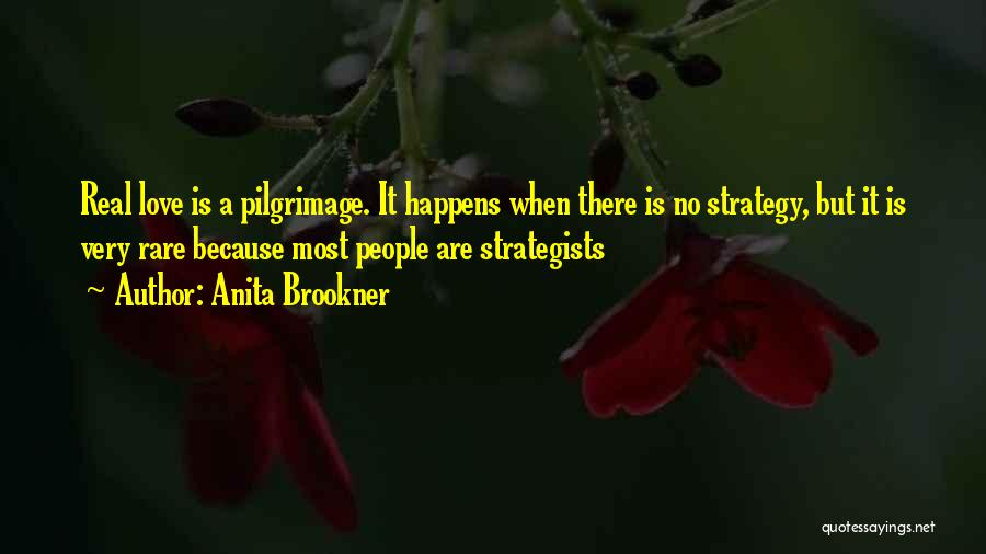 Strategists Quotes By Anita Brookner