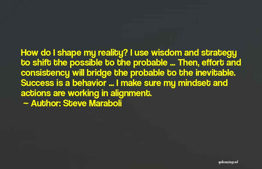 Strategy Alignment Quotes By Steve Maraboli