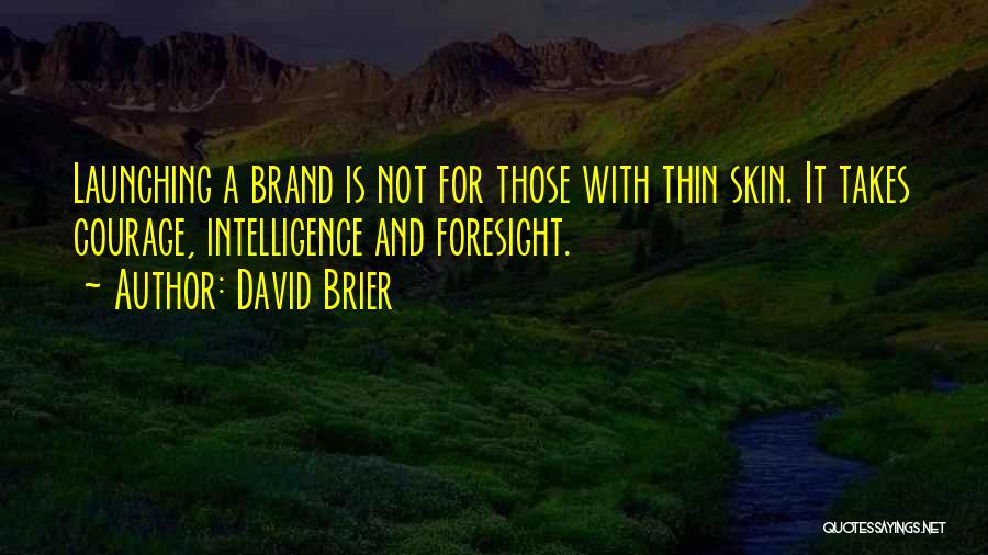 Strategy And Innovation Quotes By David Brier