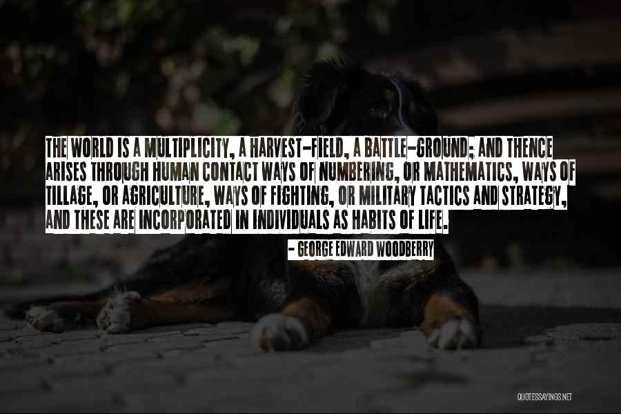 Strategy And Tactics Quotes By George Edward Woodberry