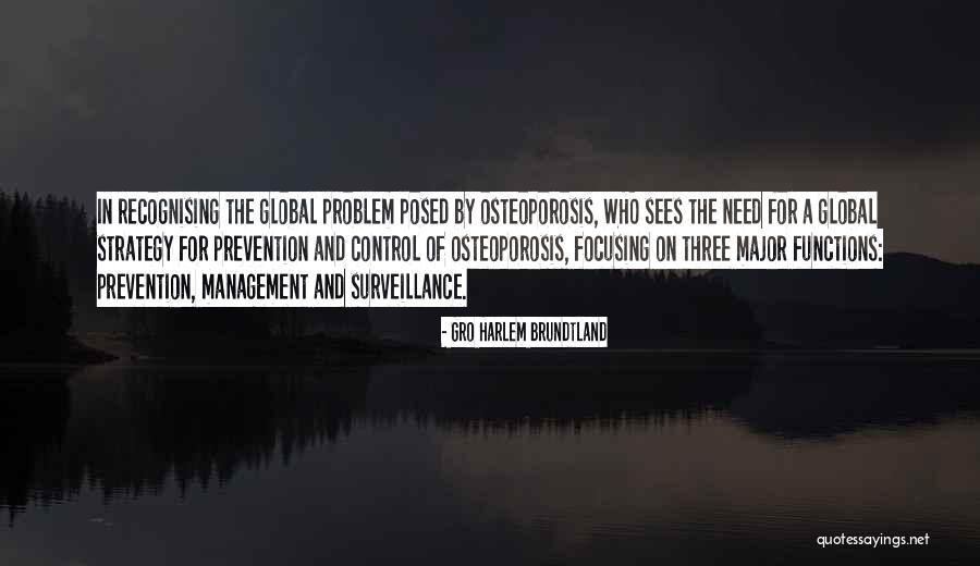 Strategy Management Quotes By Gro Harlem Brundtland