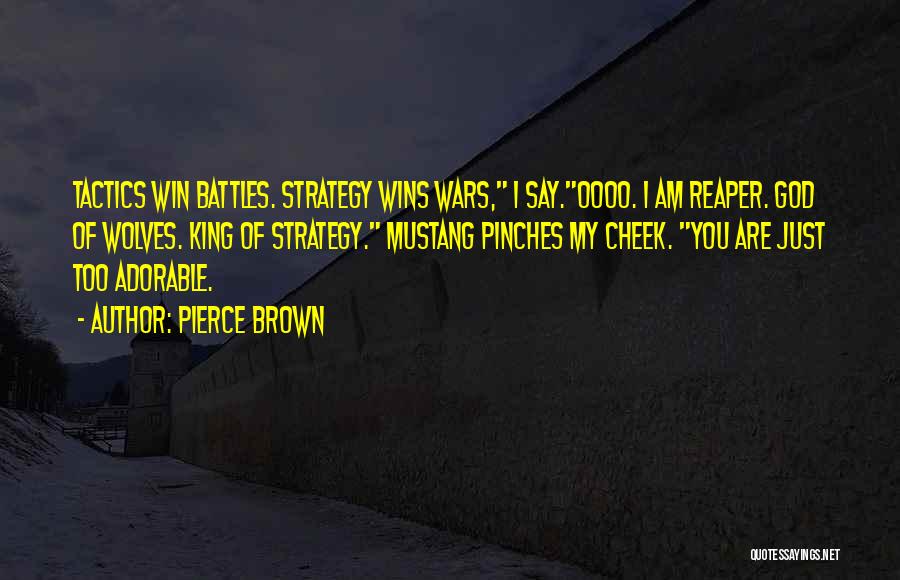 Strategy Vs Tactics Quotes By Pierce Brown