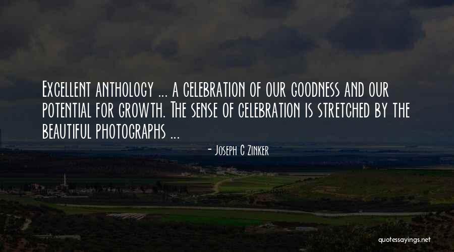 Stratification Sampling Quotes By Joseph C Zinker Stratification Sampling Quotes By Joseph C Zinker