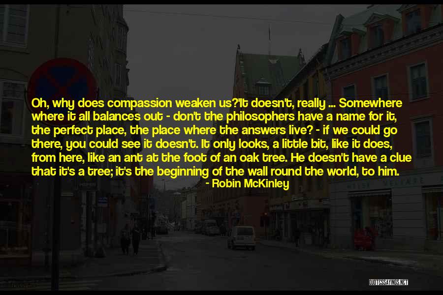 Stratolaunch Aircraft Quotes By Robin McKinley Stratolaunch Aircraft Quotes By Robin McKinley