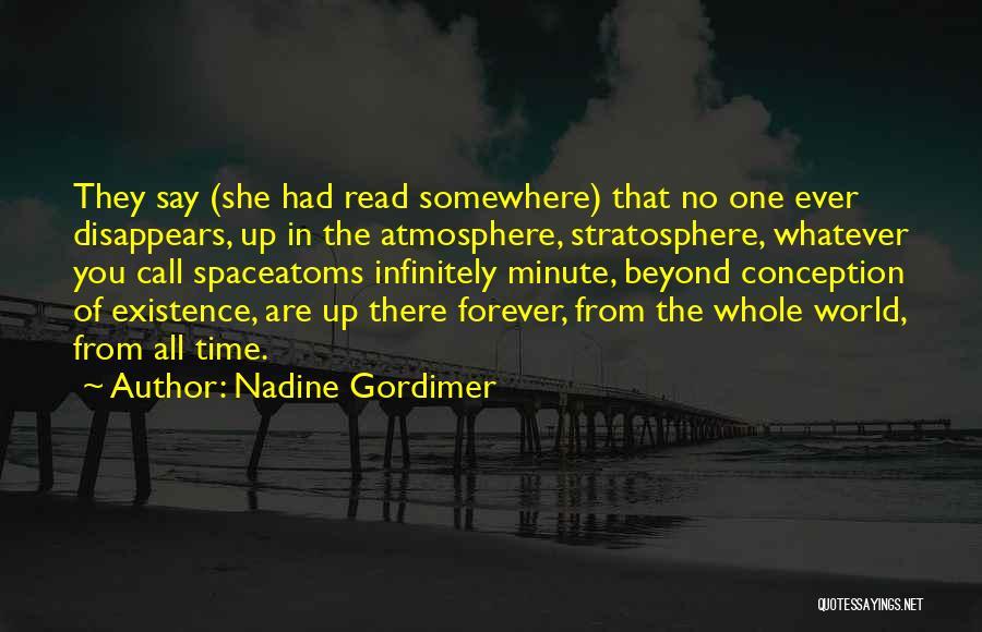 Stratosphere Quotes By Nadine Gordimer