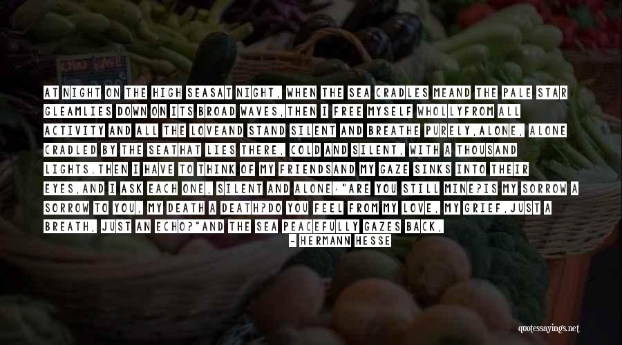 Stratului De Ozon Quotes By Hermann Hesse Stratului De Ozon Quotes By Hermann Hesse