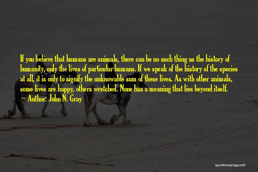 Straw Dogs Gray Quotes By John N. Gray