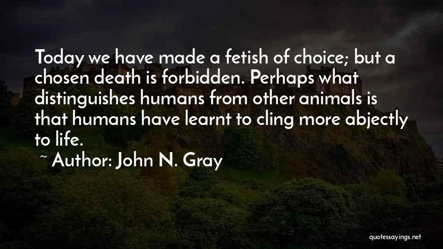 Straw Dogs Quotes By John N. Gray