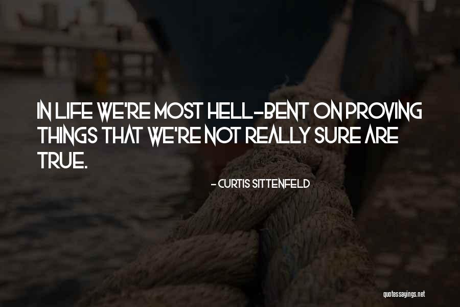 Straw Man Arguments Quotes By Curtis Sittenfeld Straw Man Arguments Quotes By Curtis Sittenfeld