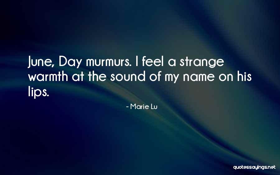 Straw Man Arguments Quotes By Marie Lu Straw Man Arguments Quotes By Marie Lu