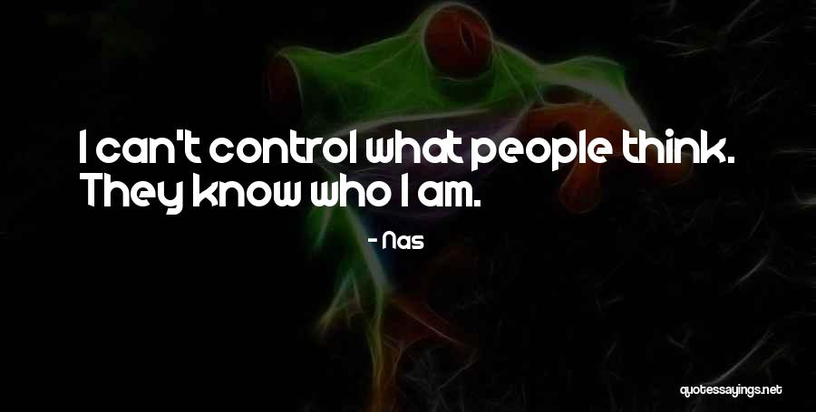 Straw Person Fallacy Quotes By Nas Straw Person Fallacy Quotes By Nas