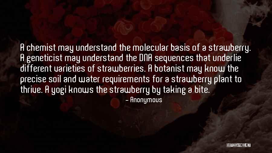 Strawberry Plant Quotes By Anonymous Strawberry Plant Quotes By Anonymous