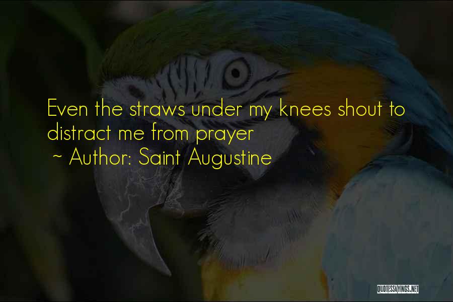 Straws Quotes By Saint Augustine