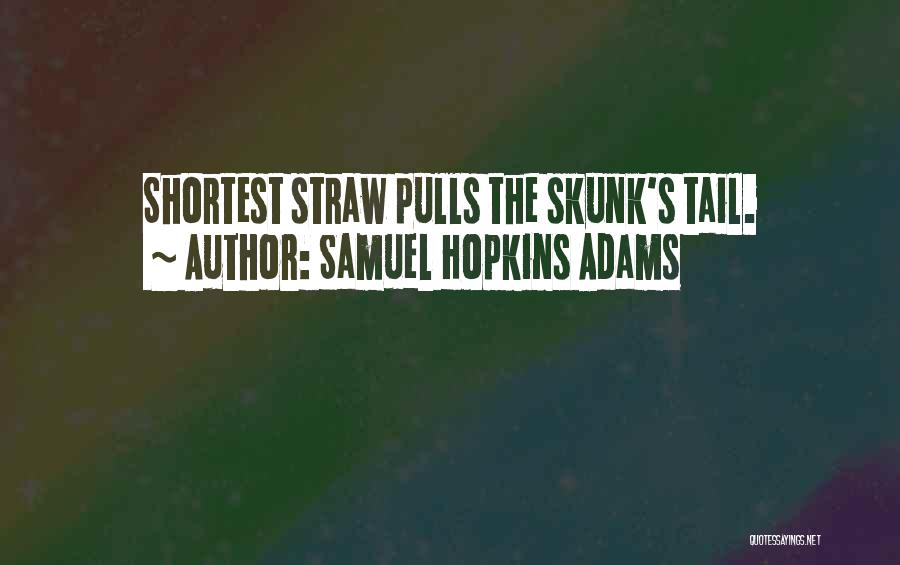 Straws Quotes By Samuel Hopkins Adams