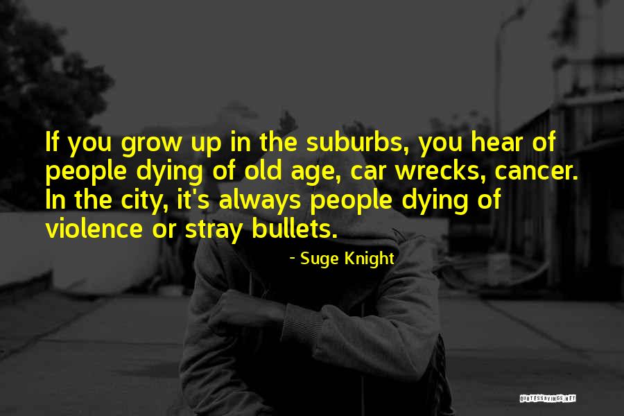 Stray Bullets Quotes By Suge Knight